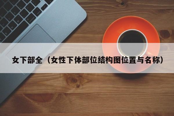 女下部全(女性下体部位结构图位置与名称)