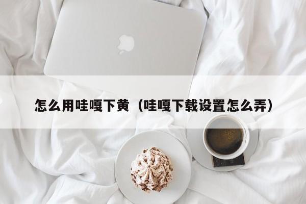 怎么用哇嘎下黄(哇嘎下载设置怎么弄)