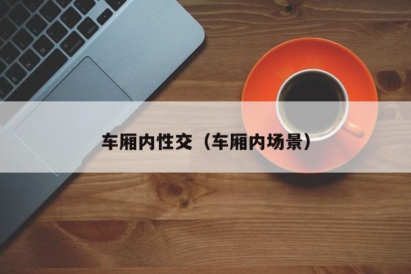 车厢内性交(车厢内场景)