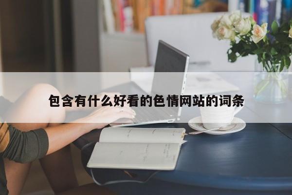 包含有什么好看的色情网站的词条