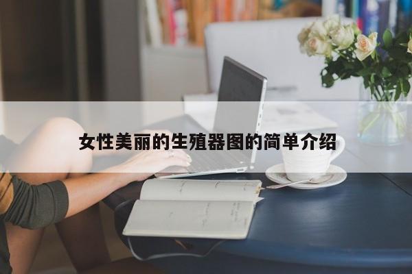 女性美丽的生殖器图的简单介绍