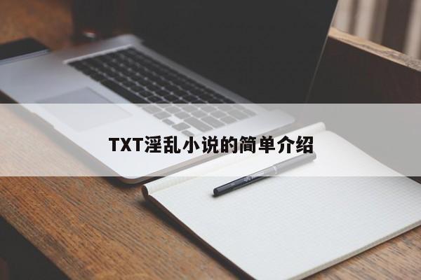 TXT淫乱小说的简单介绍