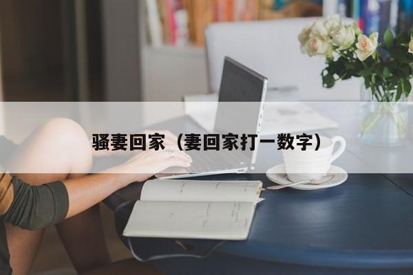 骚妻回家(妻回家打一数字)