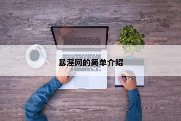 暴淫网的简单介绍
