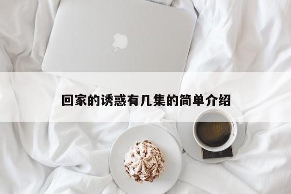 回家的诱惑有几集的简单介绍