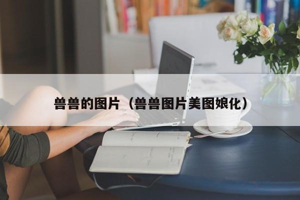 兽兽的图片(兽兽图片美图娘化)